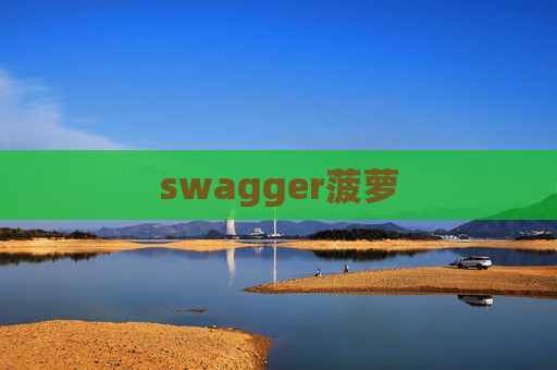 swagger菠萝 swagger菠萝